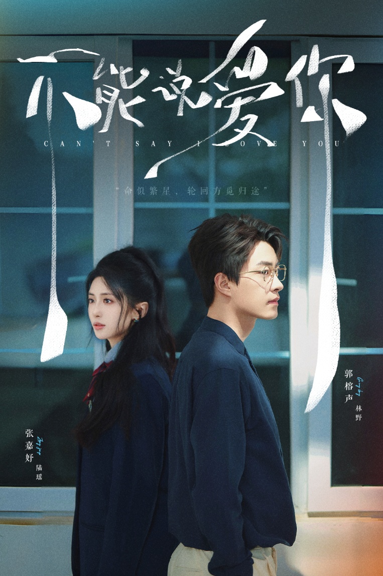 短剧《不能说爱你》 免费观看高清全集，大结局震撼来袭  第1张