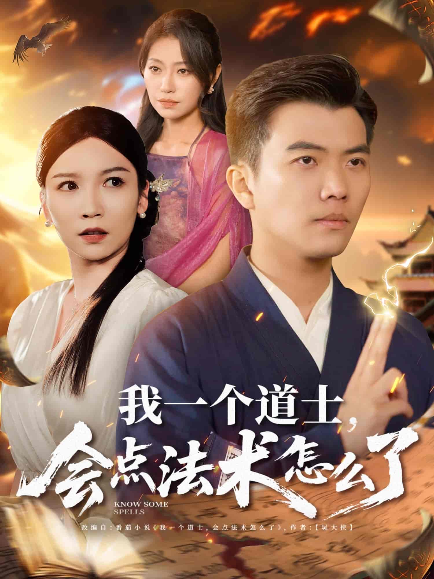 短剧《我一个道士，会点法术怎么了》 全集免费在线观看，高清画质，大结局震撼揭晓