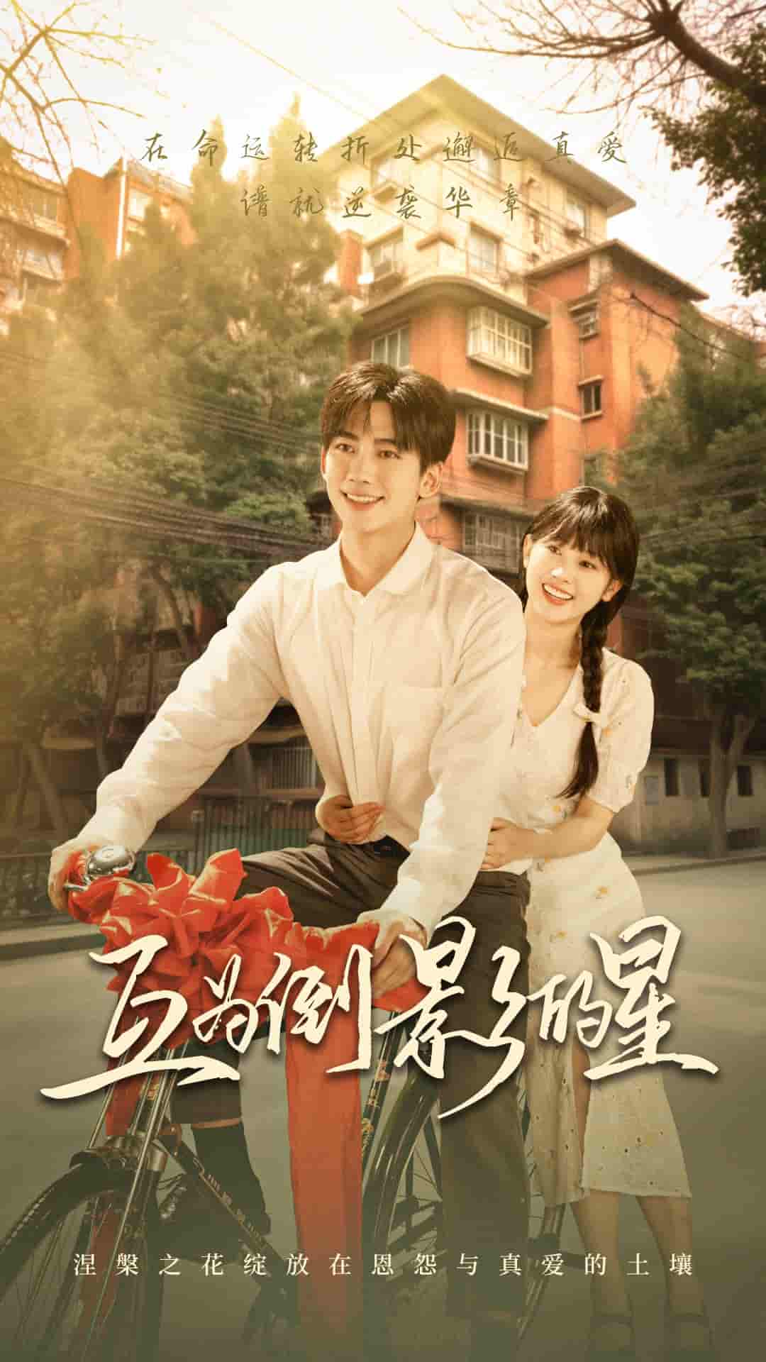 短剧《互为倒影的星》 免费观看高清短剧，全集完整版在线无障碍  第1张